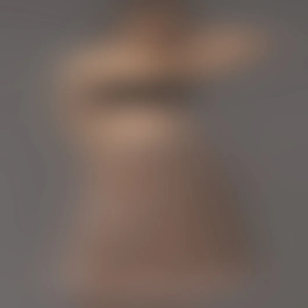 NWT Anthropologie Maeve All-Over Bow Tulle Midi Skirt Size M - Image 3