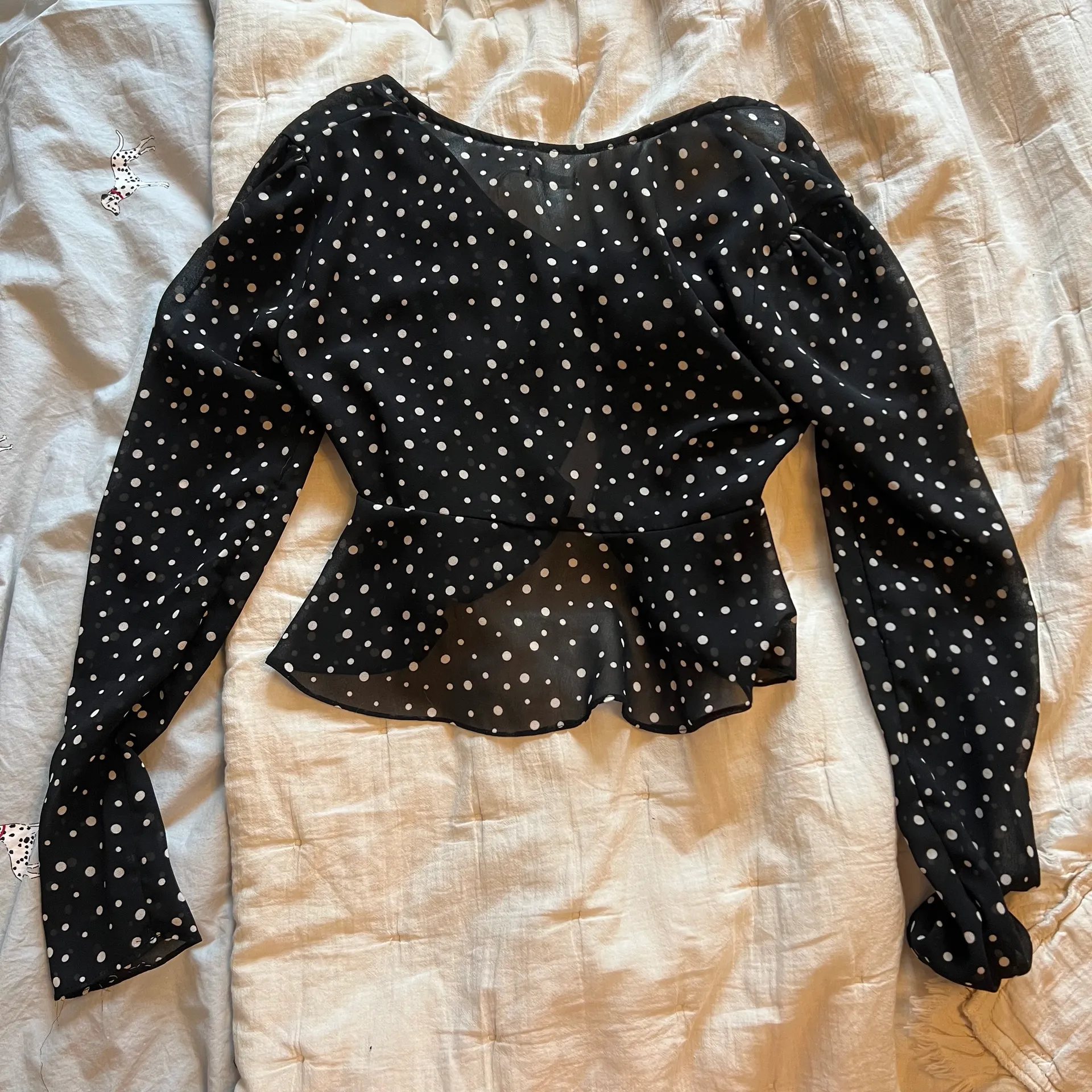 Polka Dot Sheer Tie Top - Image 3
