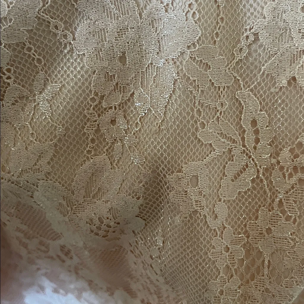 Victoria Secret's Dream Angels Blush Pink Shimmer Lace Slip Dress Size Small - Image 12