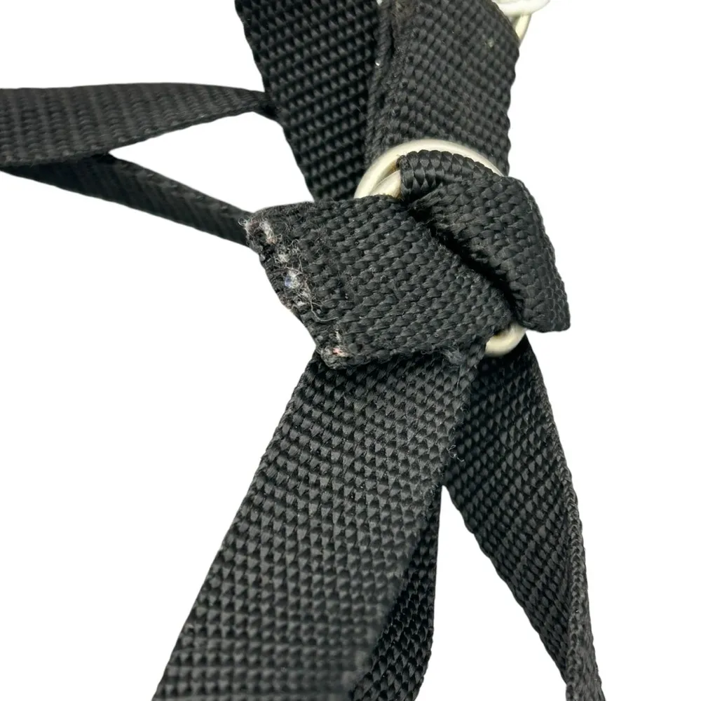 RARE KATHARINE MCPHEE AUTOGRAPHED BACKPACK FIRST TOUR AT SIX FLAGS UNIQUE - Image 5