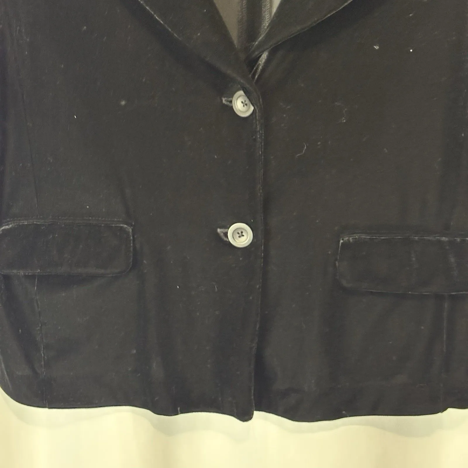 White Stag Sz XL 16-18 Velvet Blazer Jacket Floral Embroidered Collar Whimsigoth - Image 3