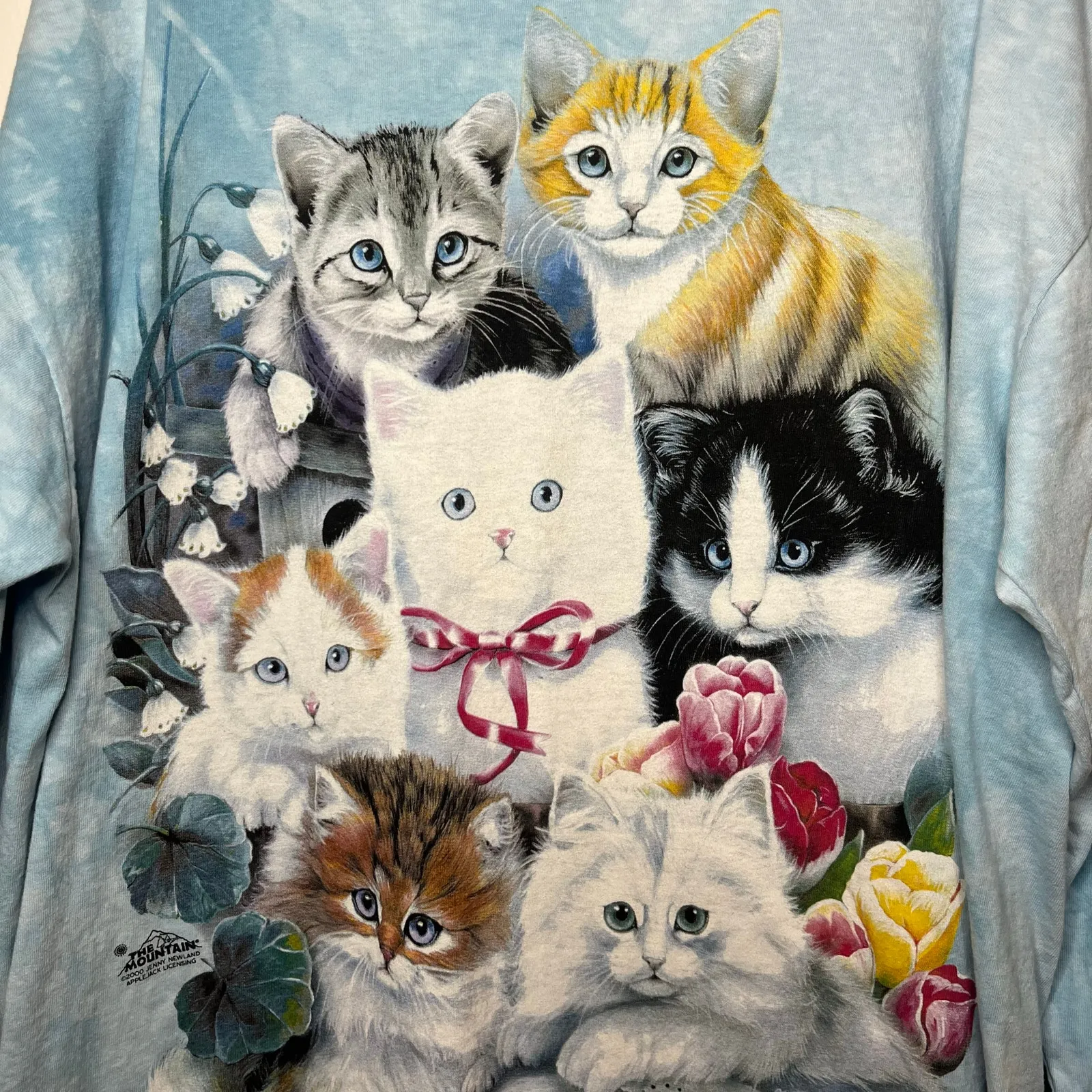 Vintage The Mountain Cats Graphic Long Sleeve Shirt Size XL Blue Tie Dye 2000 - Image 3