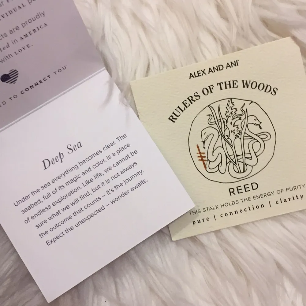 Alex & Ani “Deep sea” bracelet set - Image 5