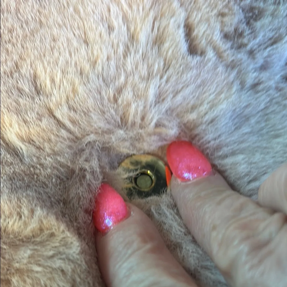 A new Day Faux Fur-Trimmed Shoulder Bag - Image 15