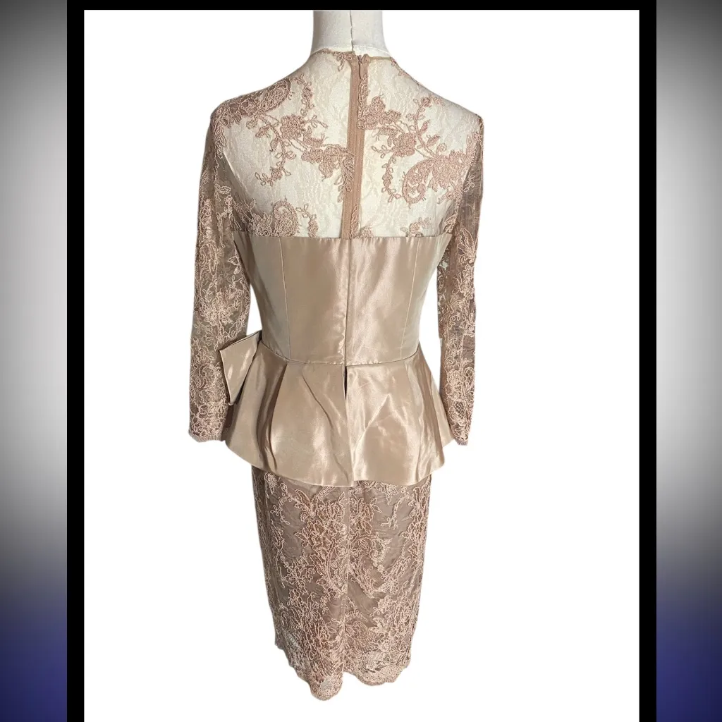 Rickie Freeman Teri Jon Lace Peplum Sheath Dress Blush Pink Size 6 NWT - Image 5