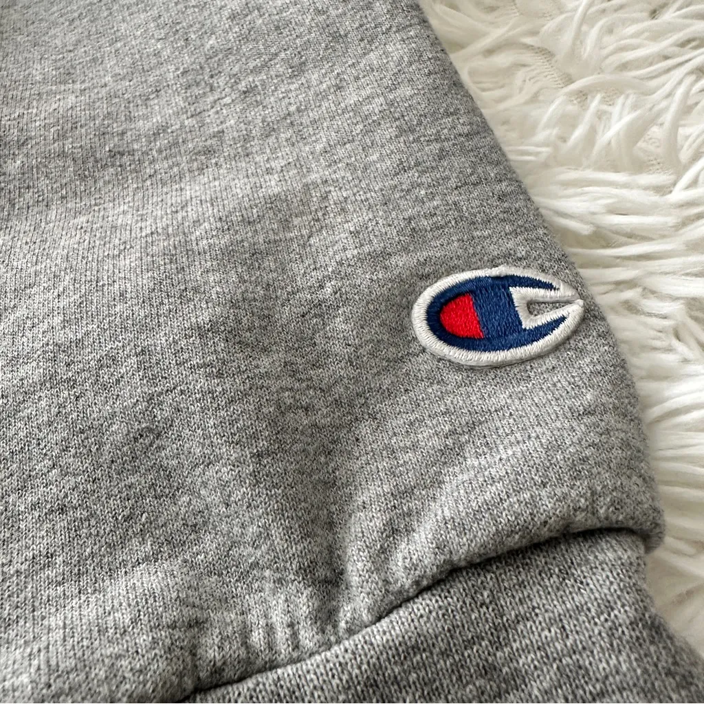 Champion GVSU Hoodie Gray – Vintage Collegiate Sweatshirt Size Small - Image 15