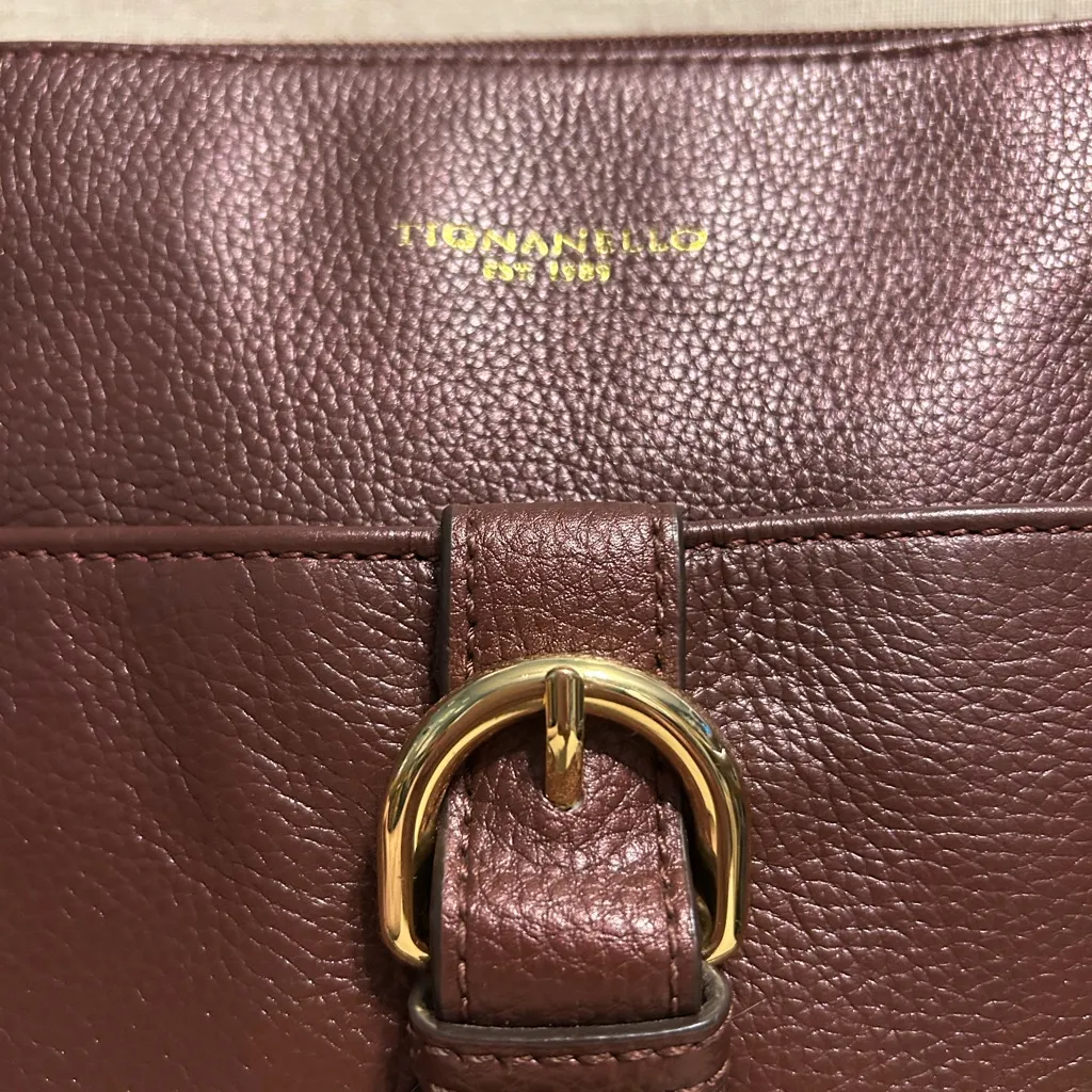 Tignanello Leather Crossbody Bag in Metallic Maroon Red - Image 2