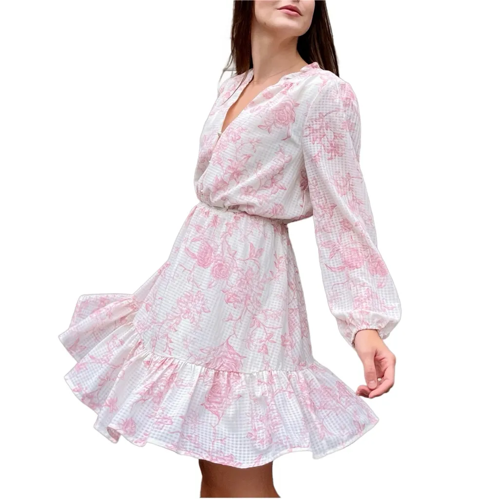 Joie Pink and White Toile Feminine Twee Long Sleeve Chiffon Mini Dress Large - Image 2