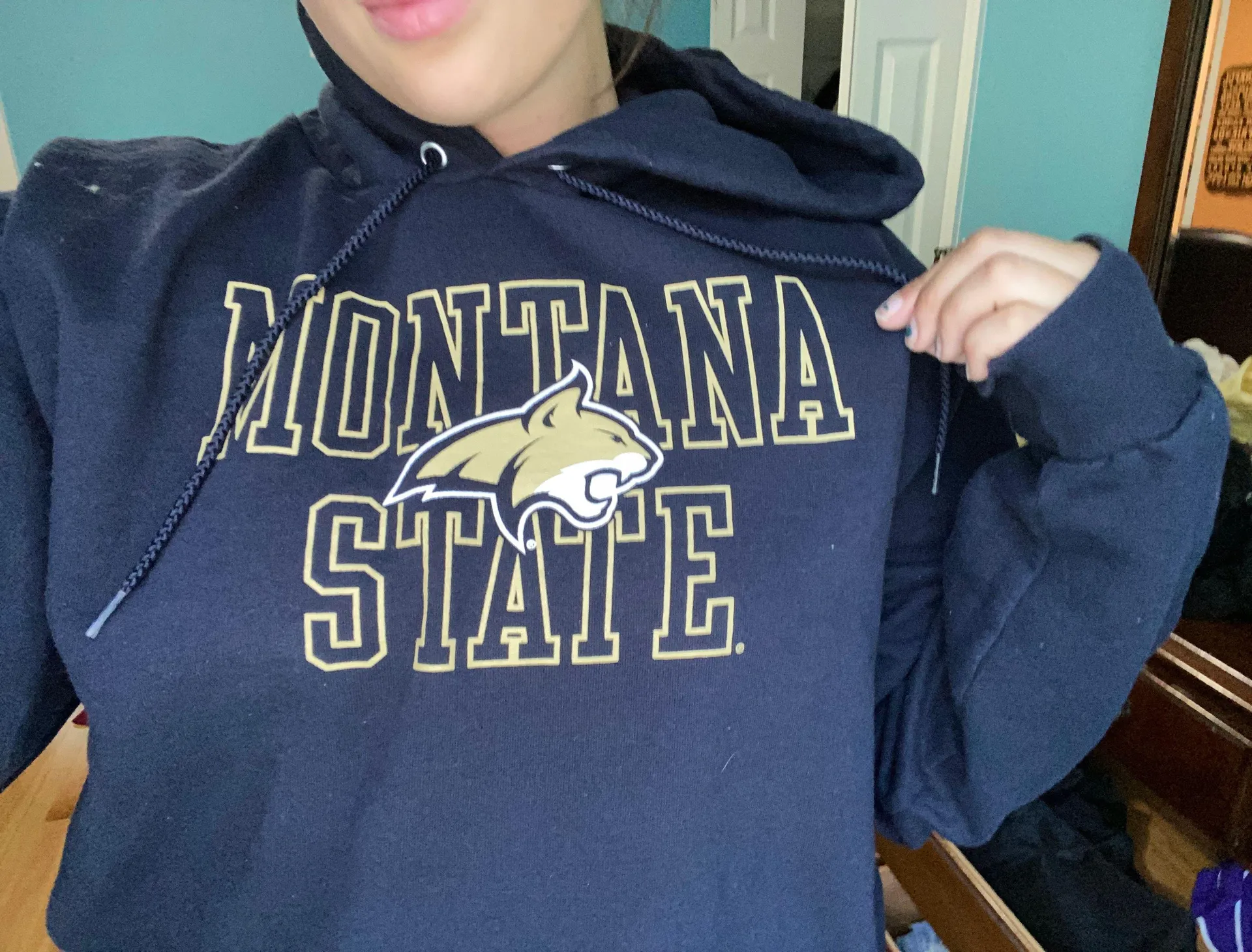 Montana State Hoodie - Image 2