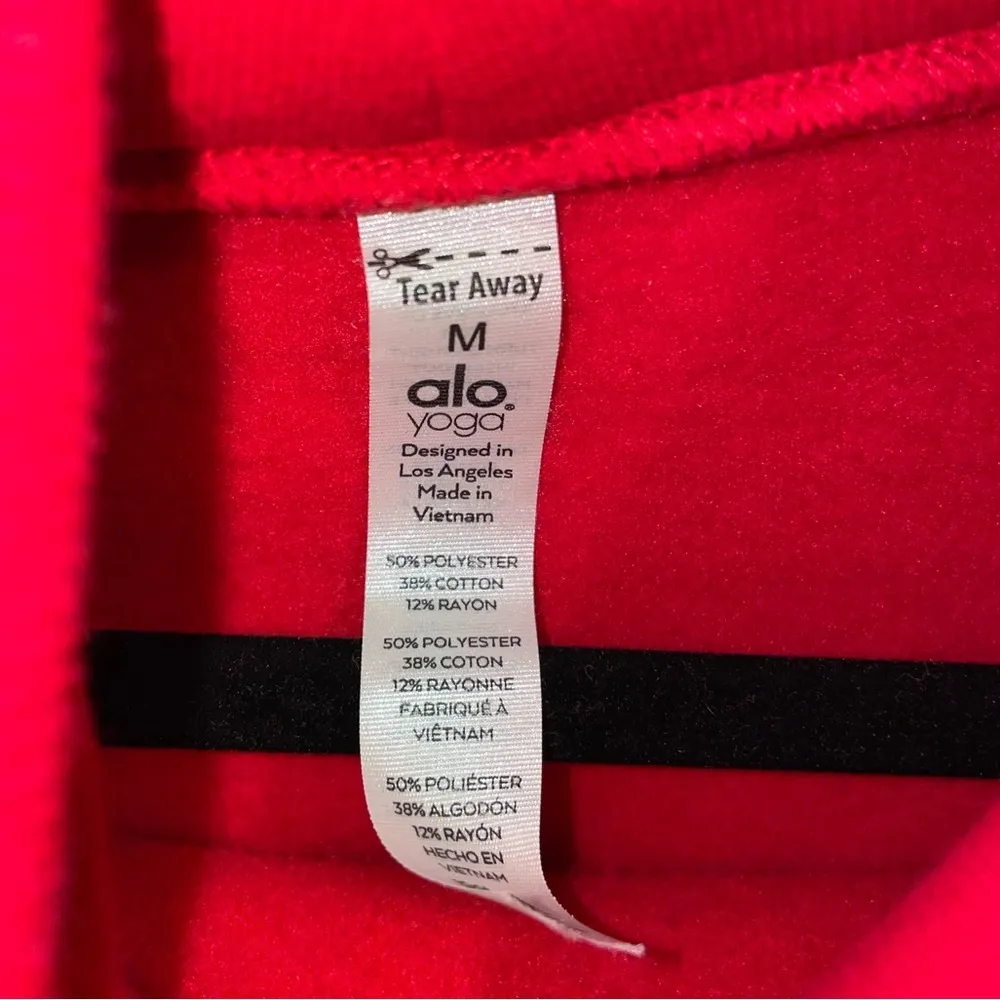 Alo Yoga red eternal cropped hoodie - Image 4