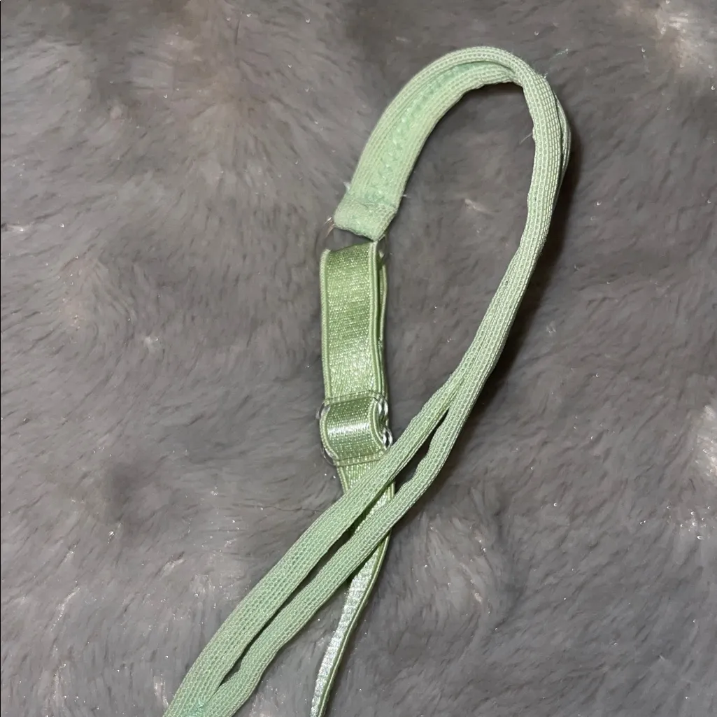 Victoria’s Secret Mint Green Lace Push-Up Bra| Dream Angel Underwire, Demi 34D - Image 5