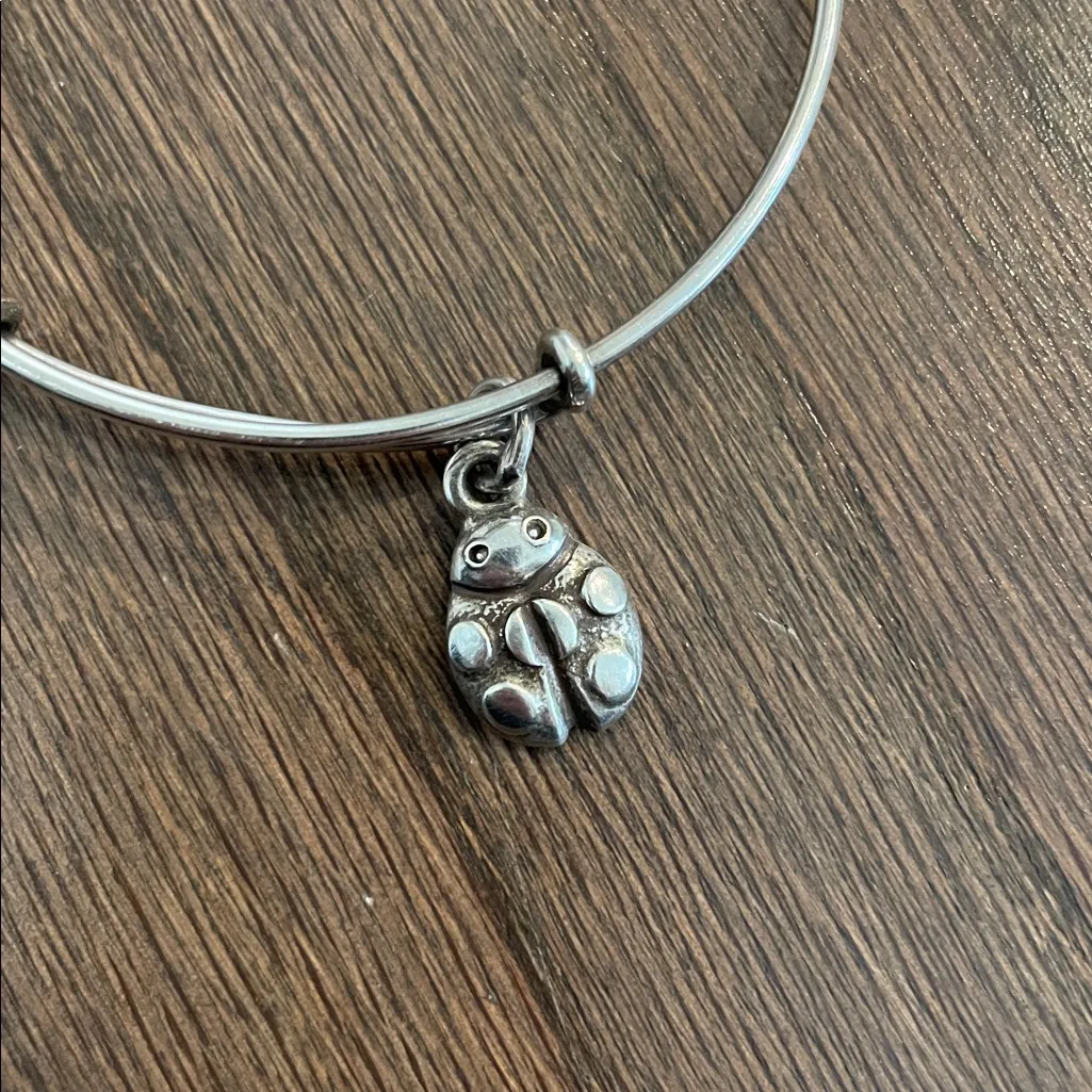 Alex and Ani Ladybug Bracelet - Image 2