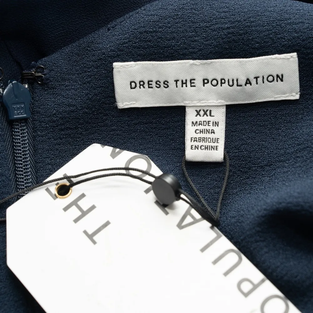 Dress The Population Alicia Chiffon Fit Flare Dress - Image 4