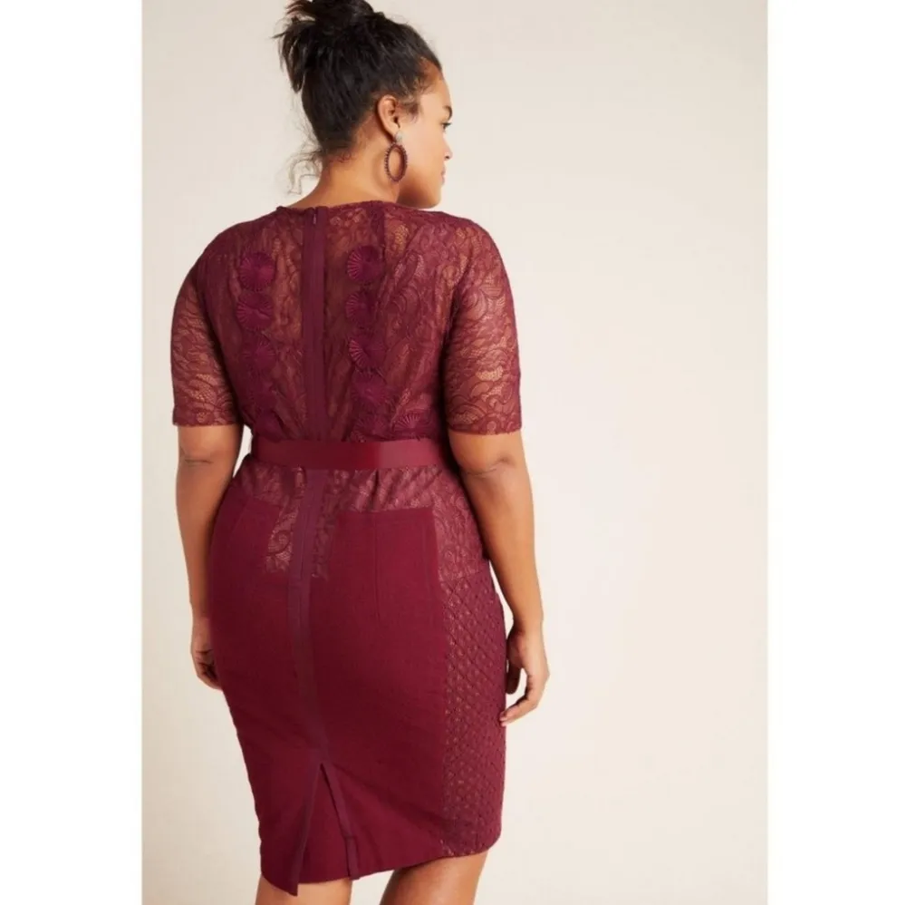Anthropologie Byron Lars Carissima Burgundy Sheath Dress - Image 2