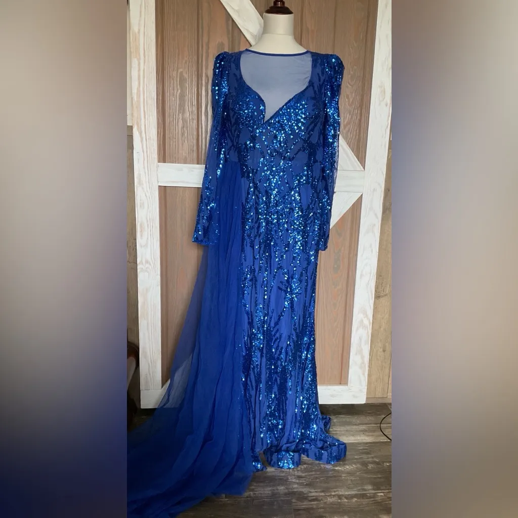 Faeriesty Elegant Blue Sequin Evening Gown with a Sheer Train. Size 3X - Image 2