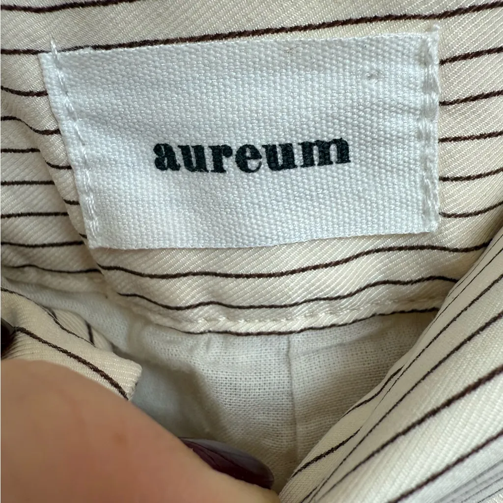 Aureum Pinstripe Wideleg Pants Size XS Brown - Image 2