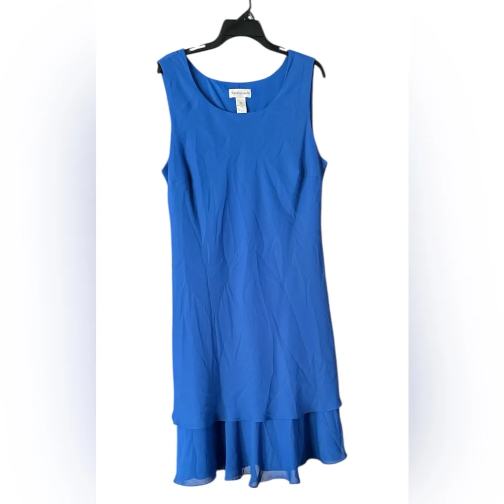 Drapers & Damons Layered Flirty Dress Sz XL
Special occasion Boho Party Elegant Blue - Image 11