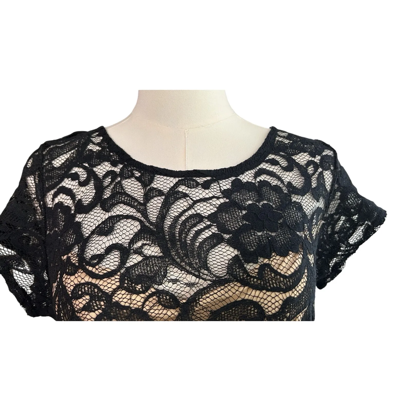 Vtg Black Lace Dress Lined Tulle USA XL Whimsy Goth Punk A-line Holiday LA Scala - Image 2