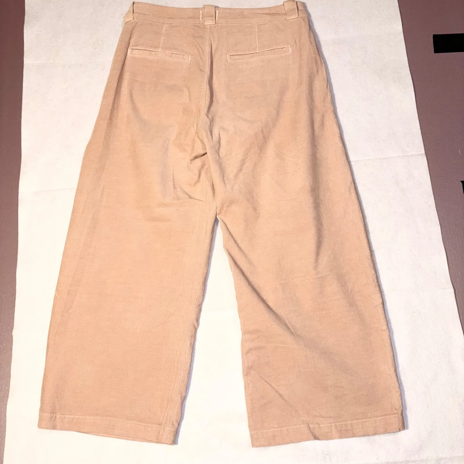 Citizens of Humanity barrel leg ankle corduroys Light Pink Pleated High Rise - Image 13