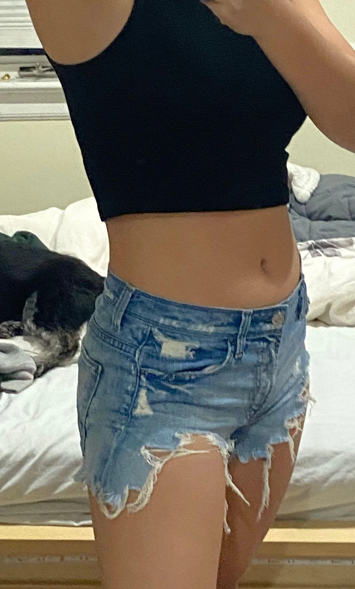 7 For All Mankind Jean Shorts - Image 3