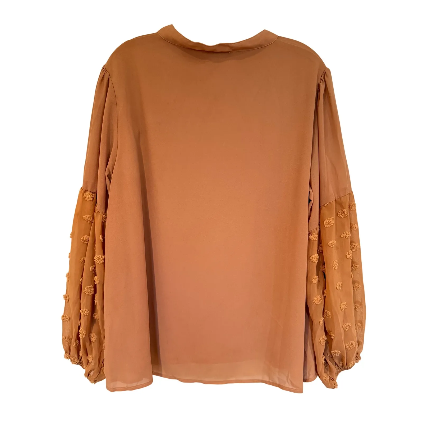 ANDTHEWHY Swiss Dot Balloon Sleeve Tie Neck Blouse Women's Large Tan Career Boho - Image 5