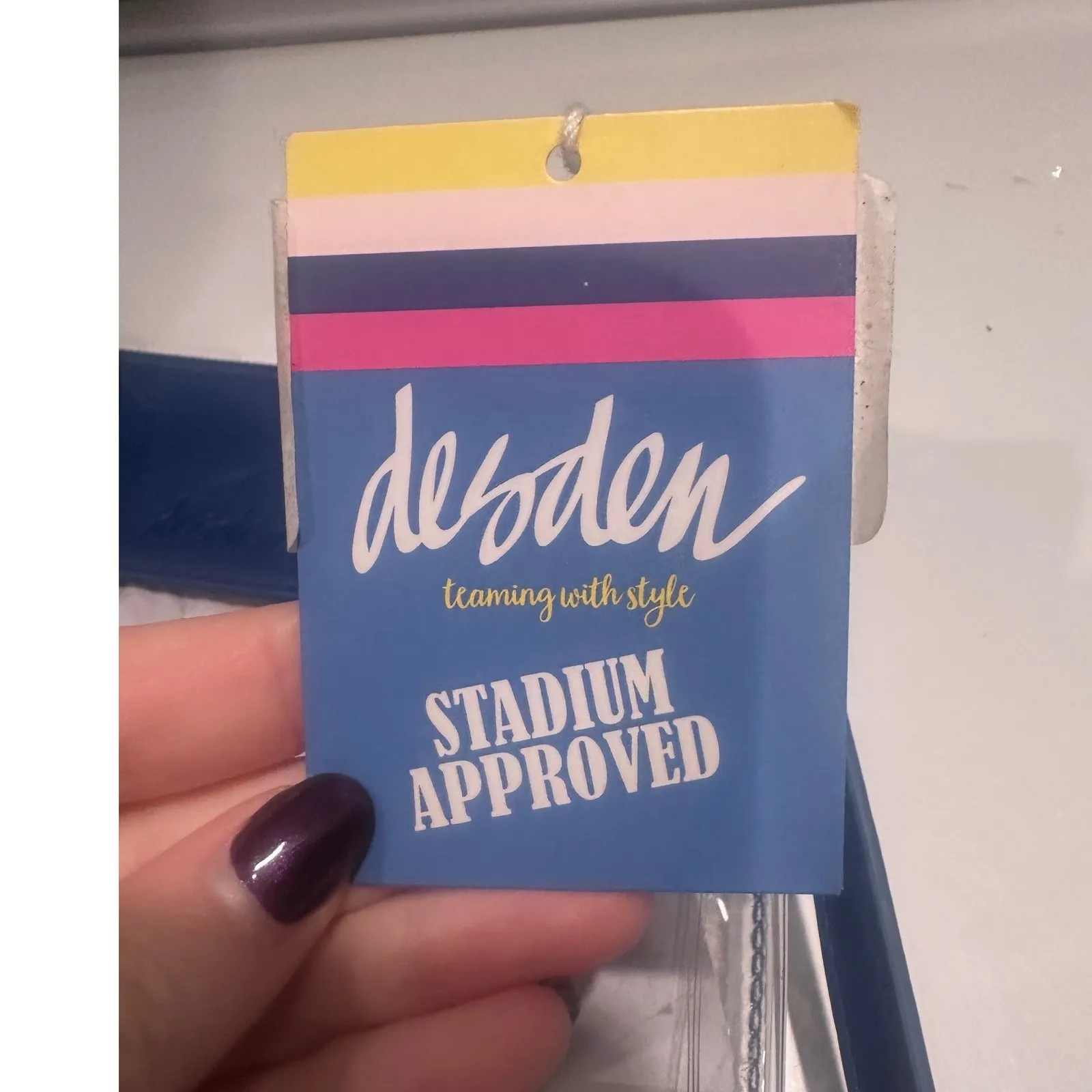 Desden University of Florida Gators Clear Crossbody Game Day Bag Purse NWT Blue - Image 4