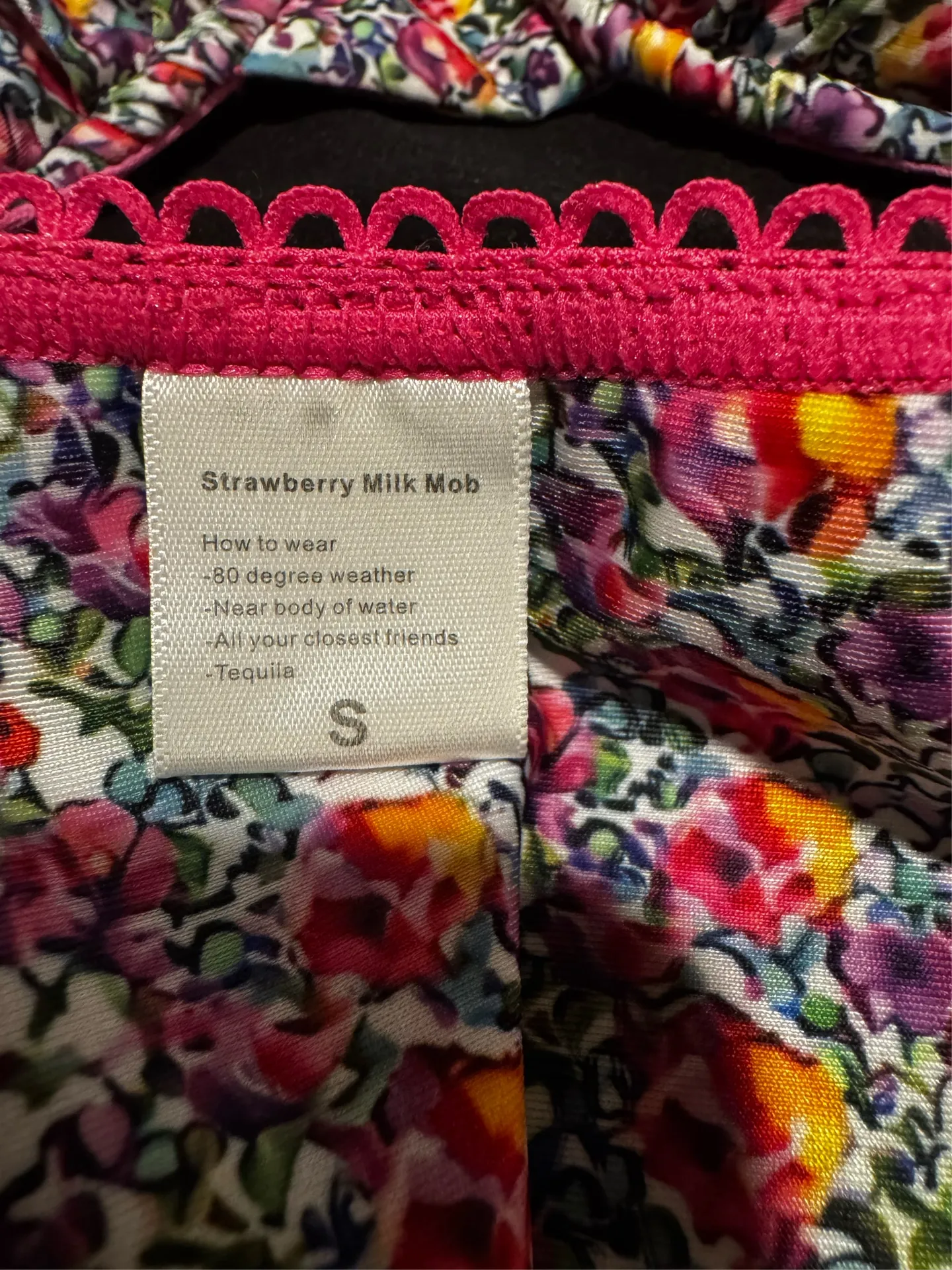 Strawberry Milk Mob Bikini - Image 2