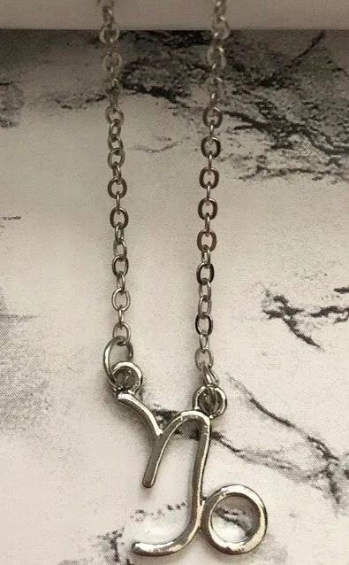 Capricorn Horoscope Sign Charm Pendant Necklace Silver - Image 3