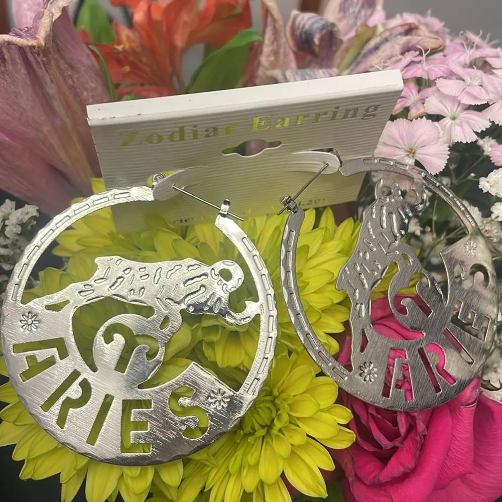 Unbranded Silver Tone Aries Zodiac Earrings Women, Round Carved fashion jewelry - Image 2