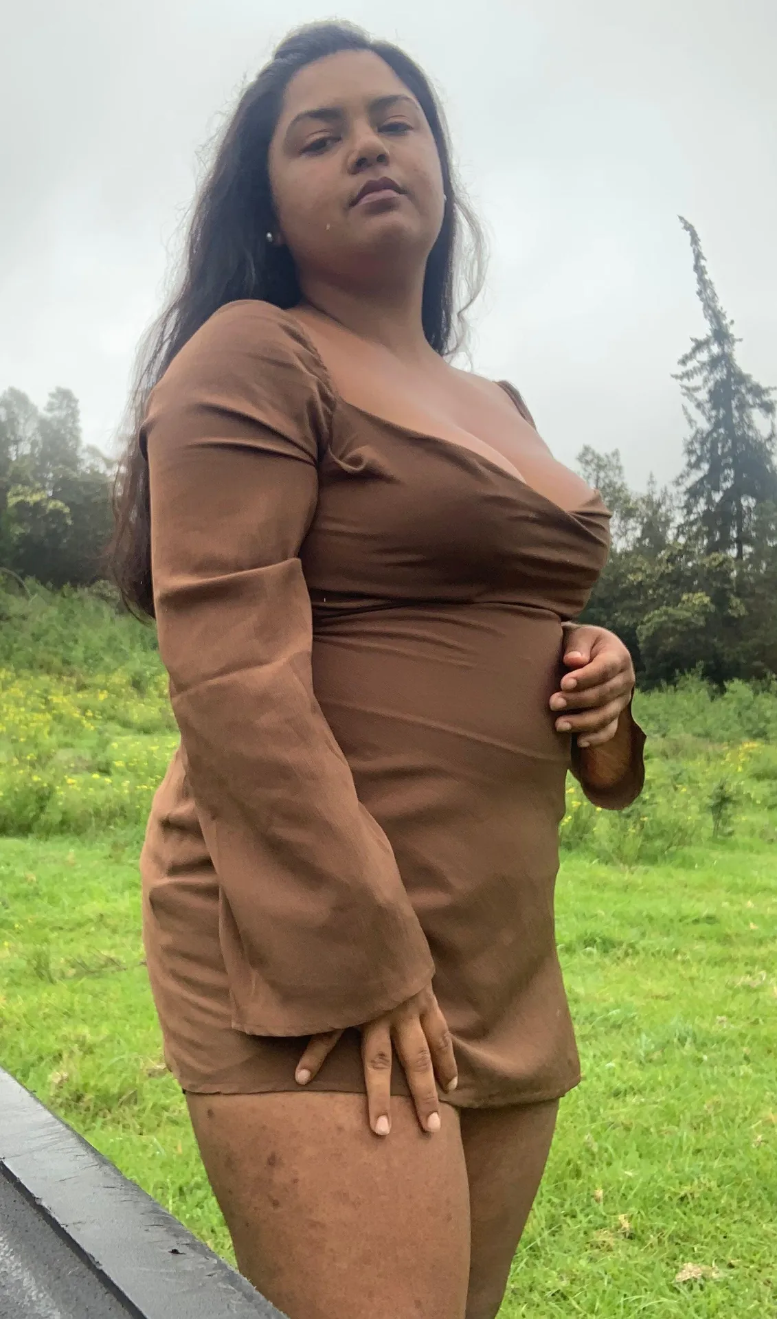 These Three Boutique Brown Cowl Neck Dress - Image 4