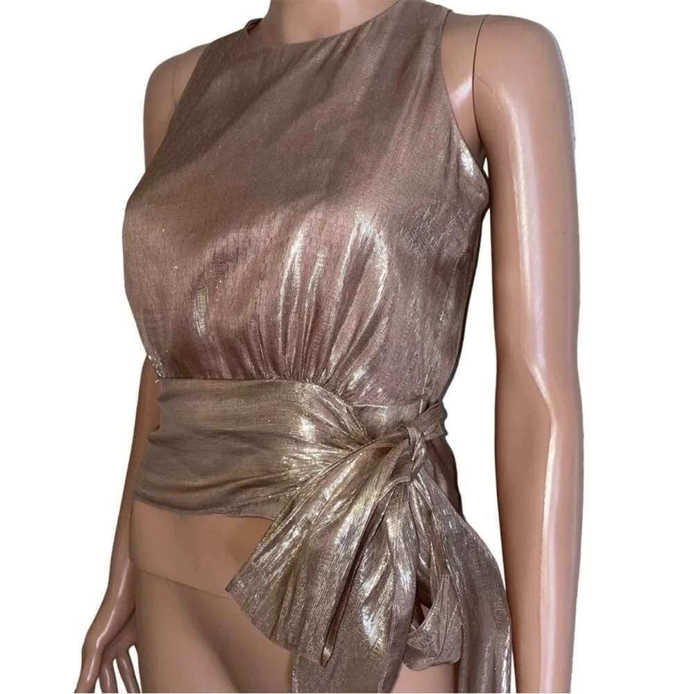 MILLY Women's Metallic Lurex Silk blend Chiffon Lauren Top pink waist tie SZ 6 - Image 3