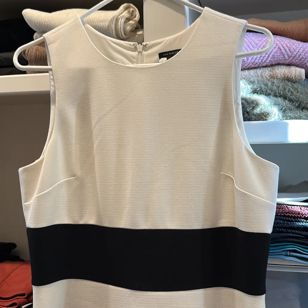 Ann Taylor size 10 cream and black zip up dress. EUC, I lost too much weight. - Image 2