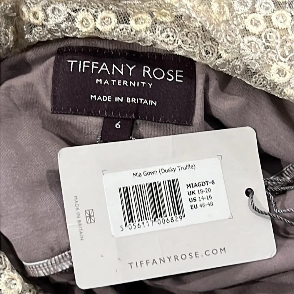 Tiffany Rose Maternity Mia Sequin Embroidered Full Length Gown - Image 5