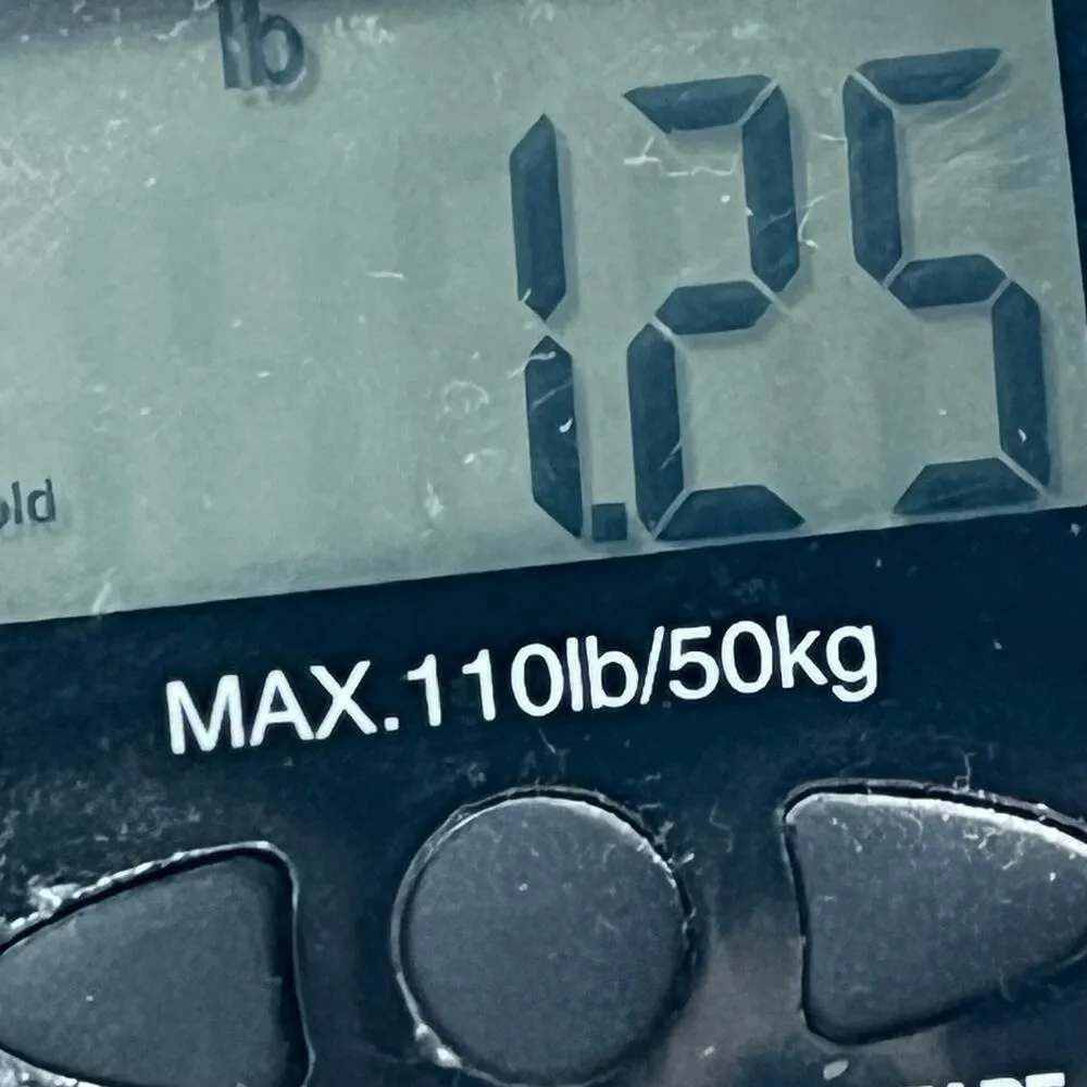 Lauren Ralph Lauren Shorts Womens 22W White Cotton Pleated High Rise Classic - Image 11