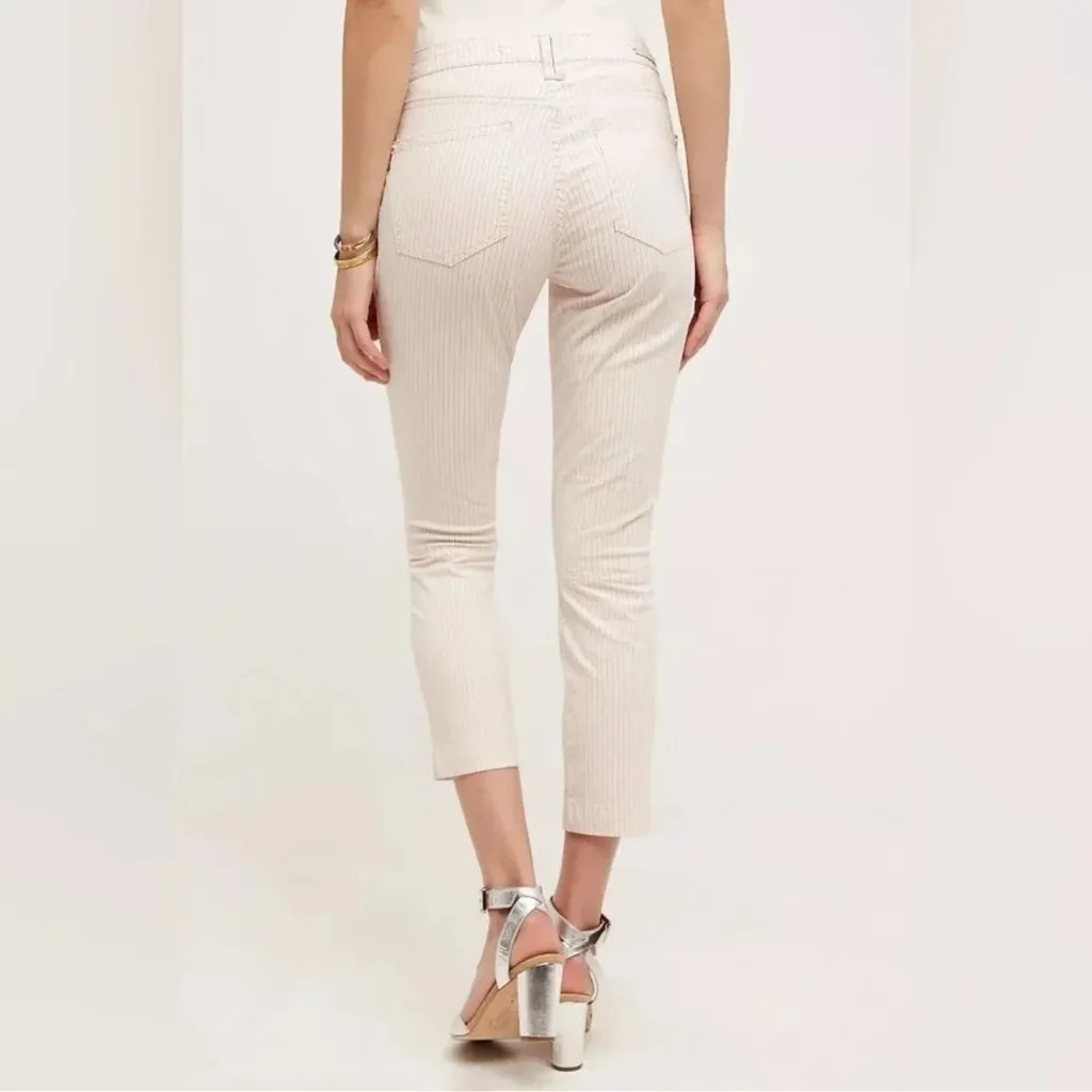 Anthropologie Pilcro and the Letterpress Blush Striped Cropped Pant Size 30 - Image 4