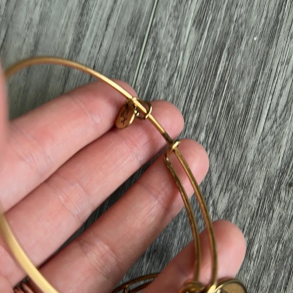 Alex and Ani Army Bangle Gold 2013 - Image 6