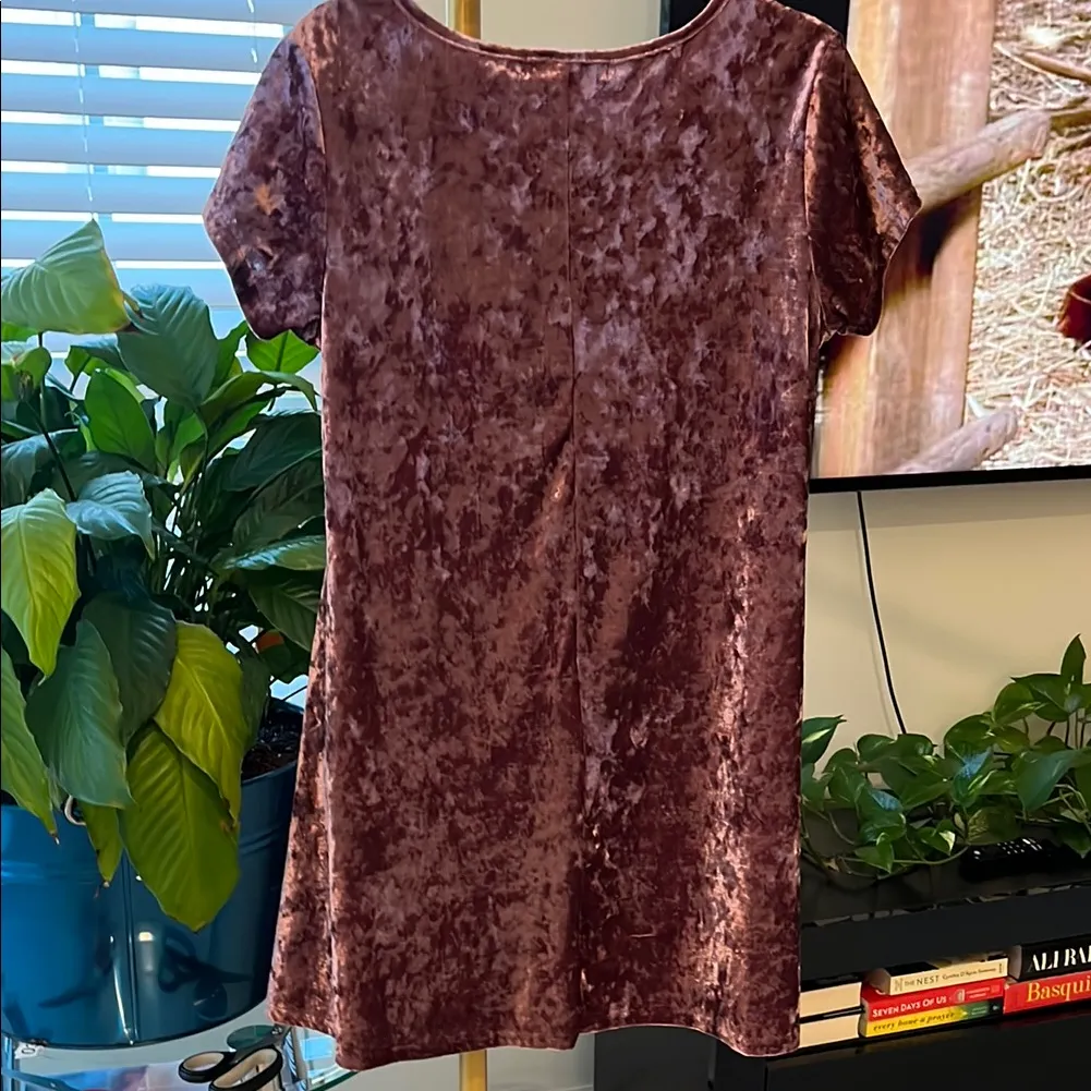 Say What? Burgundy Velvet Round Neck Short Sleeve above knee dress - Image 2