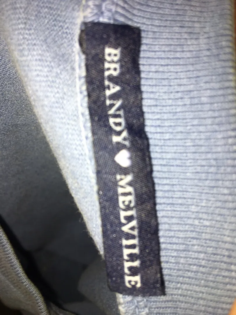 Brandy Melville Blue Hawaii Crop Top💙 - Image 2