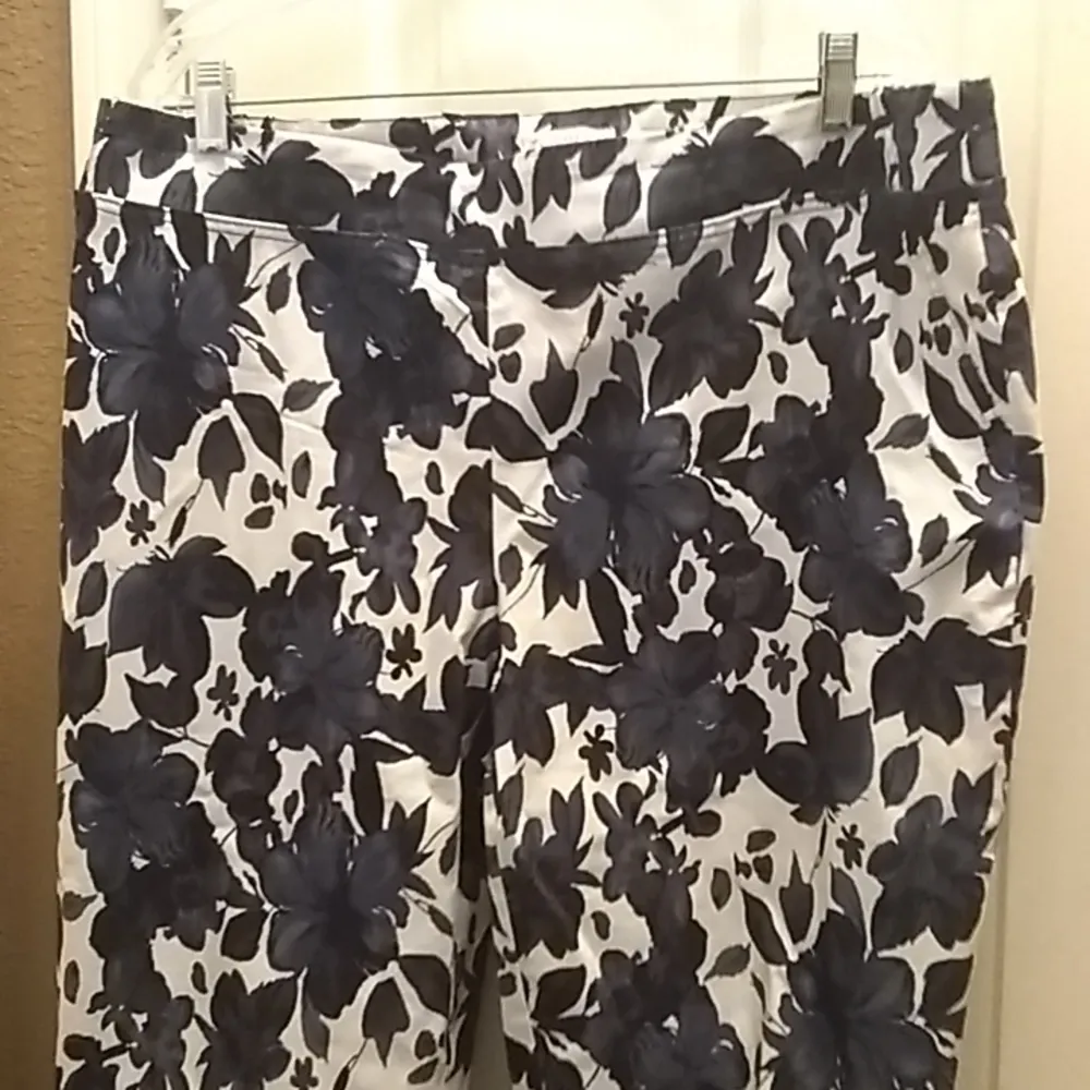 Eliane Rose FINAL MARKDOWN  slacks 18w - Image 2