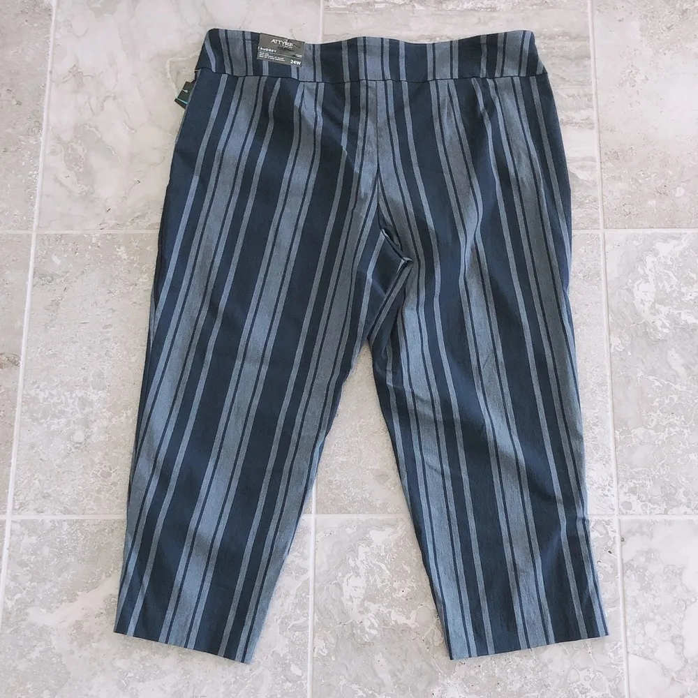 Attyre Audrey Ankle Pull-On Pants Navy Striped Cropped Stretch Plus Size 24W NWT - Image 8