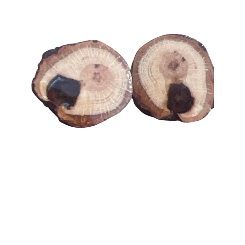 Handcrafted Wooden Tree Slice Earrings Stud Pierced OOAK Wood Ring Boho .75" New Brown - Image 4