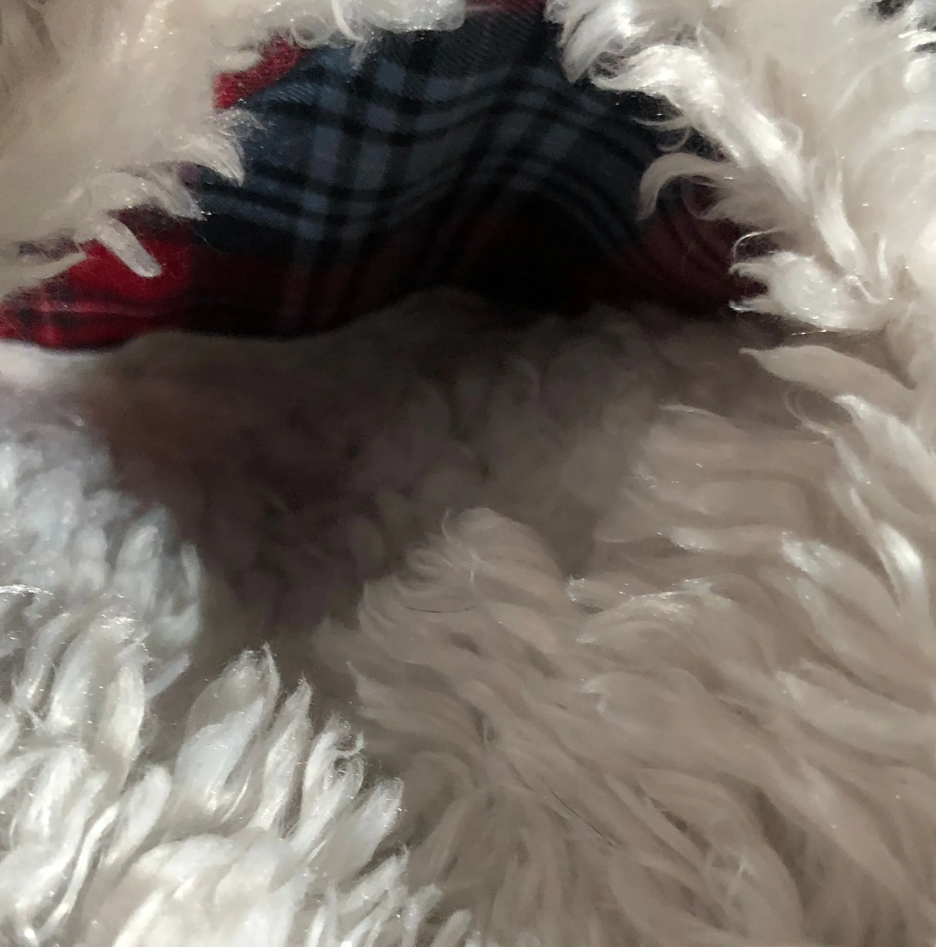 PJ Salvage White Fuzzy Zip Up Jacket W/Pockets - Image 5