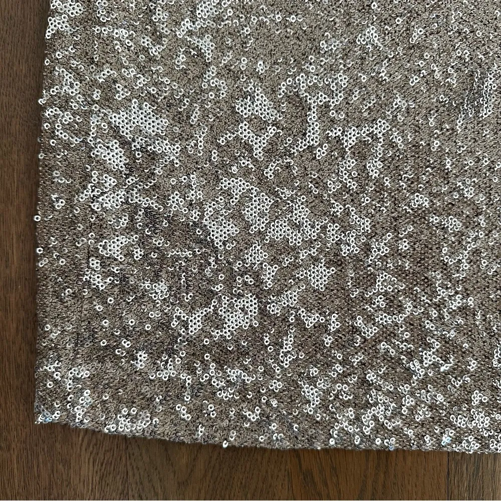 Zara Basic Sequin Tube Pencil A-Line Mini Skirt Metallic Silver Rose Size Medium - Image 6