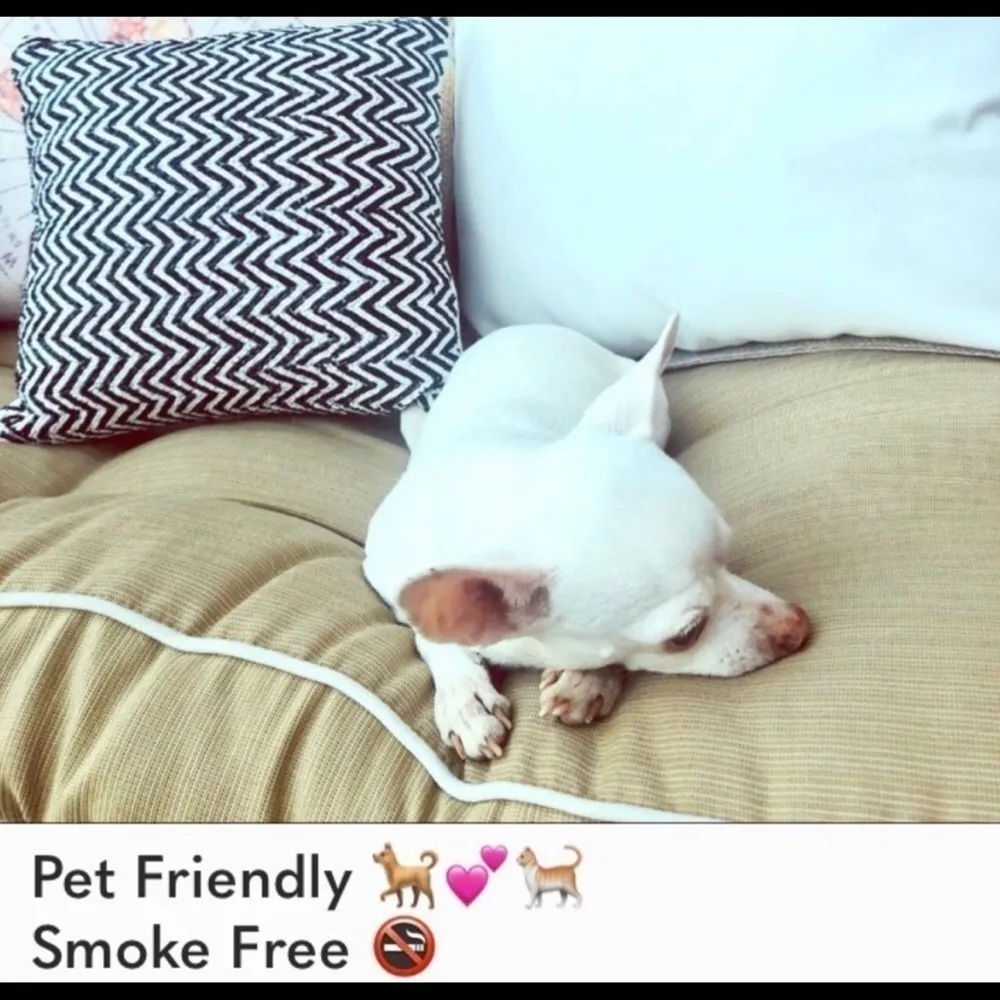 🦊💋 Wildfox Red White and Ocean Views Stripe Tee - Image 12