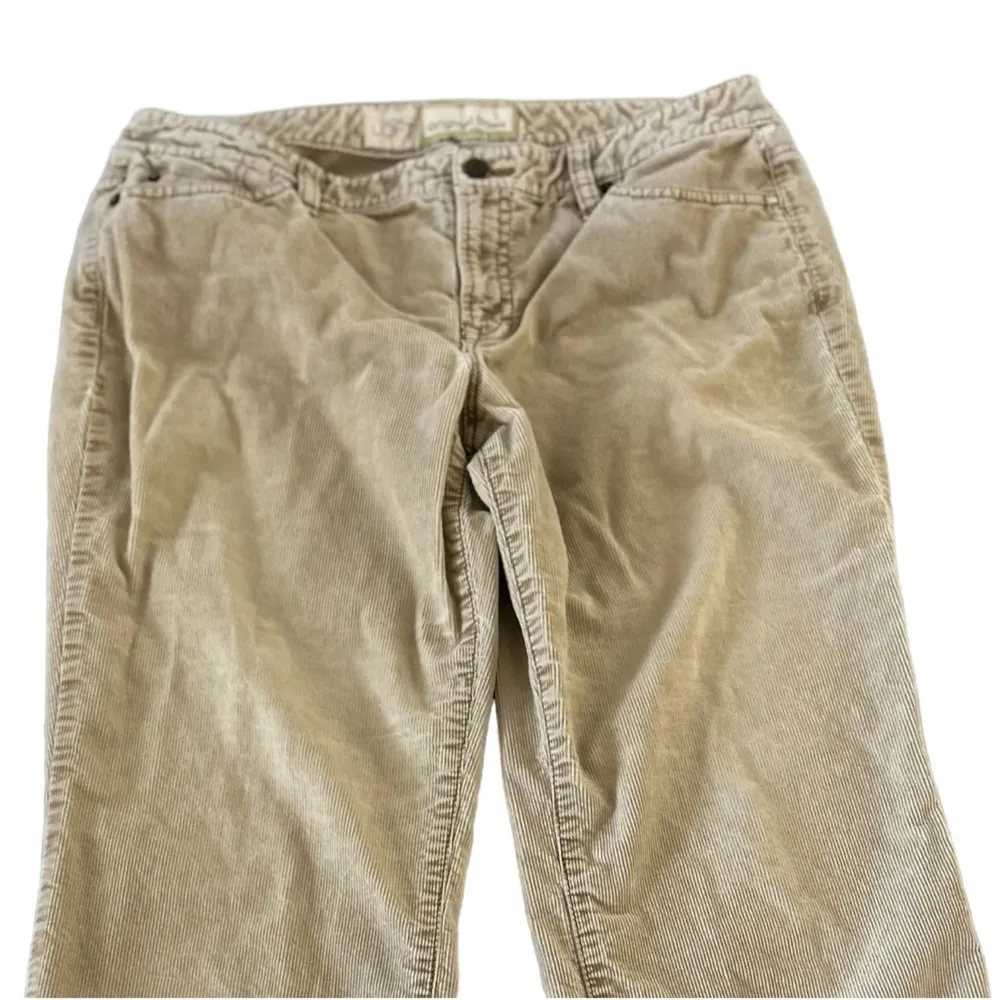 Loft Original Boot‎ Cords - size 12p - Image 2