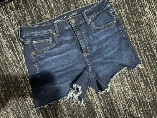 American Eagle Outfitters Shorts - Image 2