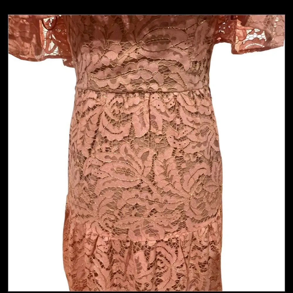 NWT dress the population Reese of the Shoulder rose‎ petal lace maxi dress XS - Image 7
