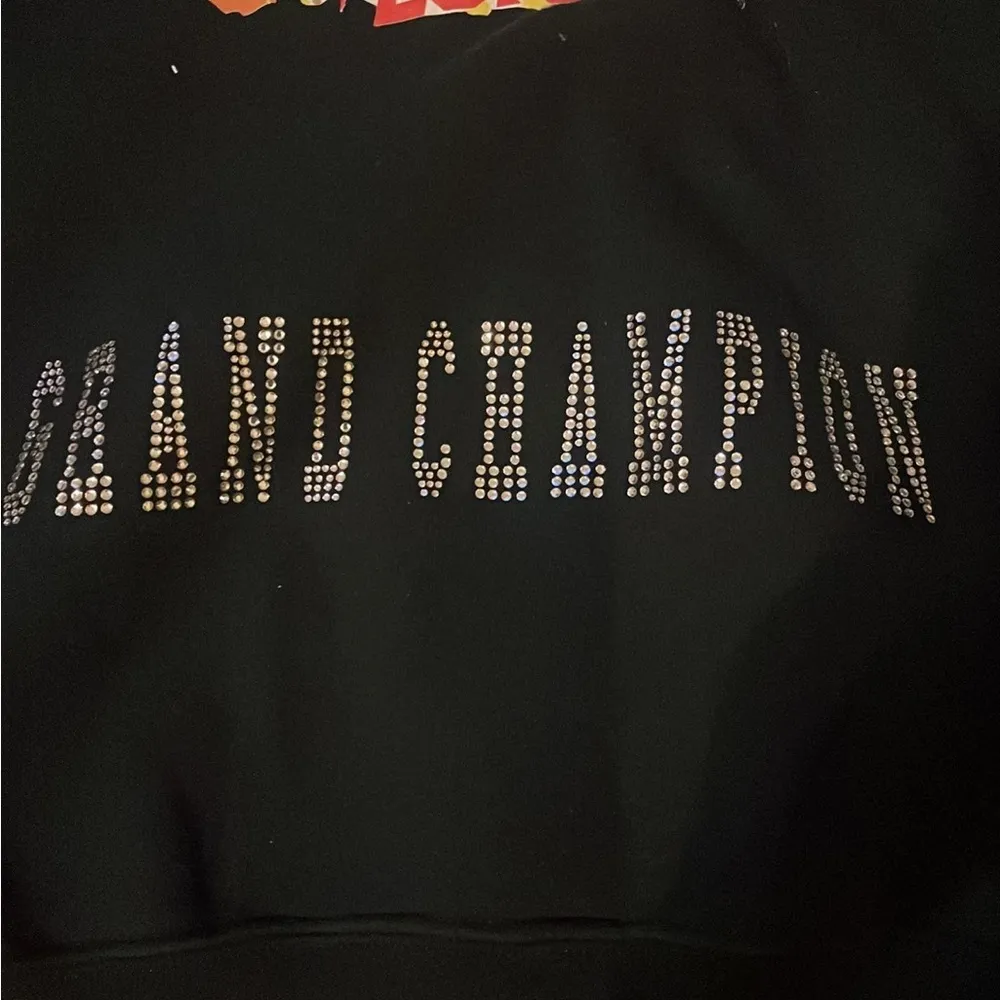 Cheer tech nation championship hoodie - Image 3