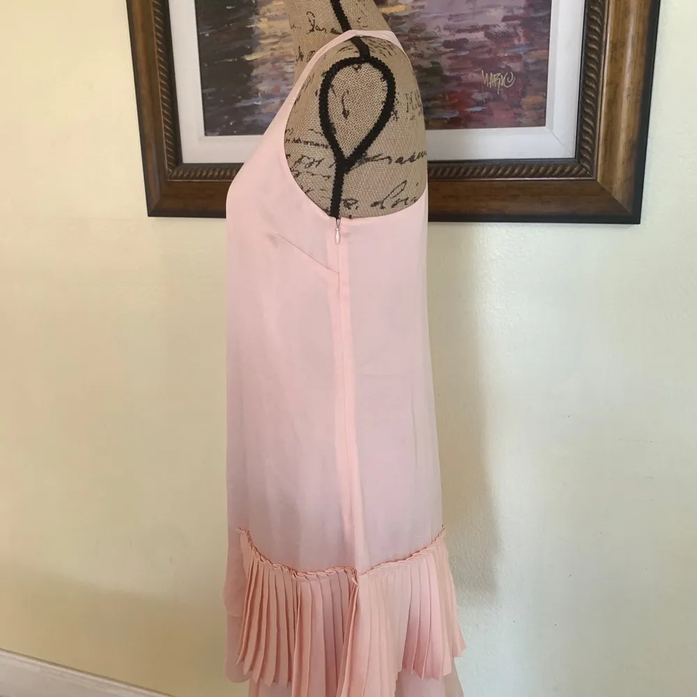 Banana Republic Pleated Ruffle Dress - Image 3