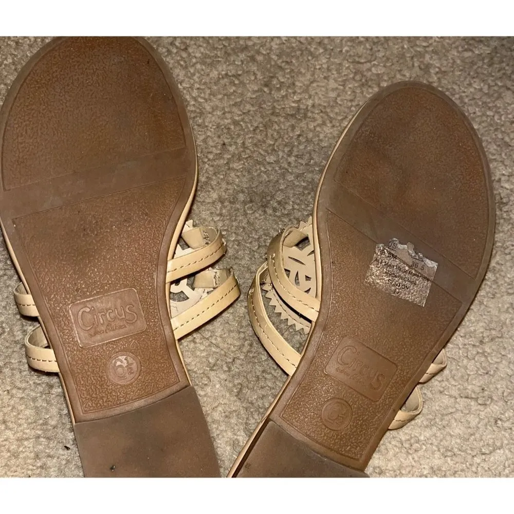 Circus Sam Edelman tan patent flip flop Sandals - Image 4